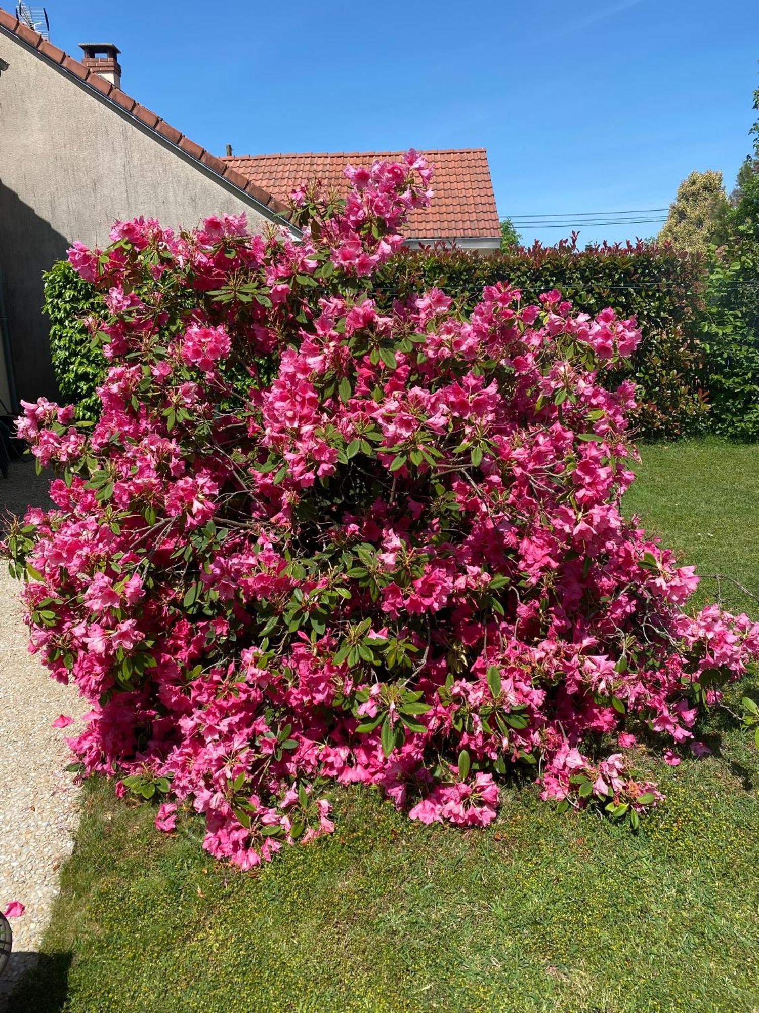 Le Petitepinay Bed & Breakfast Moitron-sur-Sarthe Exterior photo